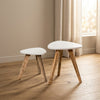 Mesa De Centro X 2 Und En Mdf / Cedro Roma - foto 1